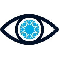 THE MVEye logo - Similar company to Lab-Grown Diamond Market Intel Report