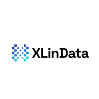 XLinData logo - Similar company to Digital Explorers