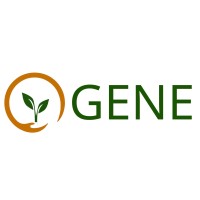 Ogene Consultancy logo - Similar company to Han Formula Student Team