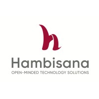 Hambisana logo - Similar company to Marveltec It Solutions
