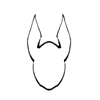 Anubis BioConsulting logo - Similar company to Superdigitale