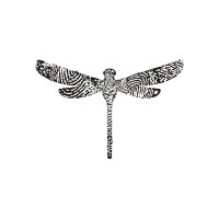 Daedalis logo - Similar company to Teammaven