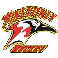 Pirkkalan Pingviinit ry logo - Similar company to Mana Digital