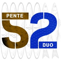 PenteDuo LLC logo - Similar company to Pentad Media
