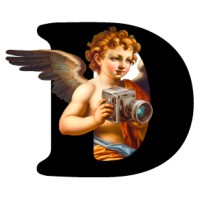 Divino Films logo - Similar company to Syndeo Cities