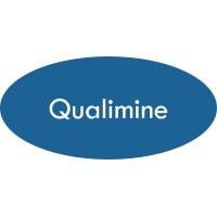 Qualimine logo - Similar company to Qualiminds