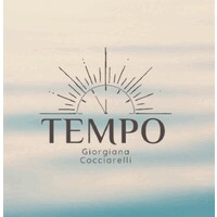 Tempo with Gio logo - Similar company to Silver Lining By Pd