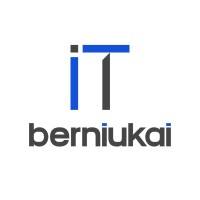 IT berniukai logo - Similar company to Itnet.Lt | Uab 
