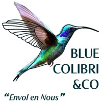 BLUE COLIBRI &CO logo - Similar company to Colibri Hr Solutions