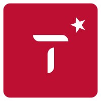 TULPAR logo - Similar company to Tulpar Arge