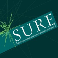 SURE scheme logo - Similar company to Hackcessible
