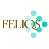 FELIQS logo - Similar company to Eyedaptic