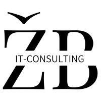 Boris Žarić - It-Consulting