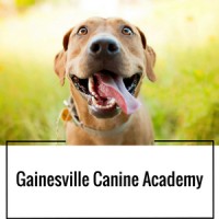 Gainesville Canine Academy