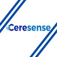 Ceresense Training Institute logo - Similar company to Bft Consulting Services