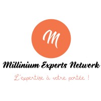 Millinium Experts Network logo - Similar company to Trivmph