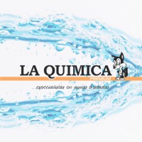 La Quimica Premium logo - Similar company to Aguazul Piscinas
