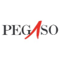 Pegaso Management Consultants S.P.A.