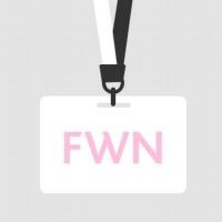 Fraud Women's Network logo - Similar company to C2M Tygerberg