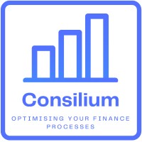 Consilium Management Consultancy logo - Similar company to Fiser Consulting
