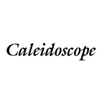 Caleidoscope Systems AB logo - Similar company to Iotspace
