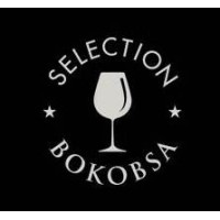 SIEVA Selection Bokobsa logo - Similar company to Car77