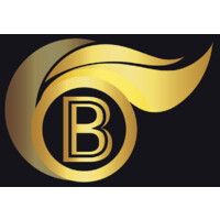 BAJWA TRANSPORTATION LLC logo - Similar company to Rb Velocityx