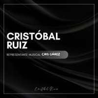 Project MUSIC13 logo - Similar company to Kisa Chartered Accountants