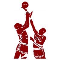 Basket Chiari A.S.D.