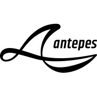 antepes logo - Similar company to Voran North America