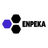 ENPEKA logo - Similar company to Geo2R