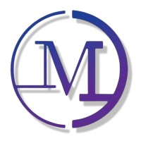Myanmar Leads International logo - Similar company to Balance Professional Services Myanmar
