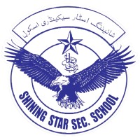 Shining Star Secondary School logo - Similar company to The Shining Star Group