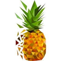 Smashing Solutions logo - Similar company to Bredy Solutions