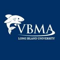 LIU VBMA logo - Similar company to Structures & Foundations Pc