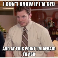 So you want to be a CFO? logo - Similar company to Porter Williams Group