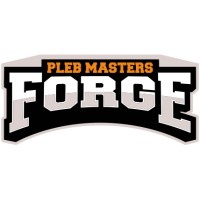 Schmid Software Solutions logo - Similar company to Alt:V Multiplayer