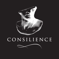 Consilience logo - Similar company to Open Professional Group