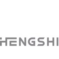 HONGKONG HENGSHI TECHNOLOGY CO., LTD logo - Similar company to Ecom Electronic Ltd.
