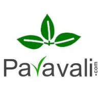 Paravali Technologies logo - Similar company to Hydrozen.Io