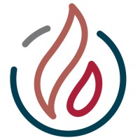 Trial By Fire Solutions logo - Similar company to Simpletrials Ctms & Etmf