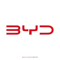 BYD Auto Vietnam logo - Similar company to Anhui Light Industries International Co., Ltd (Alic)