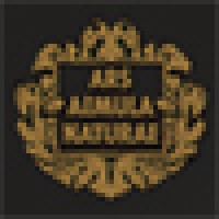 The Guild Of Boston Artists