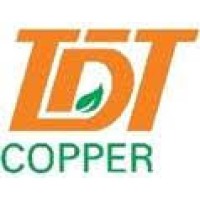 TDT Copper Ltd logo - Similar company to Bla Etech - Widest Range Of  Emi Emc Filters, Transformers, Chokes