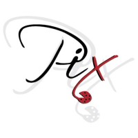 Pix logo - Similar company to Dei Principi Di Spadafora