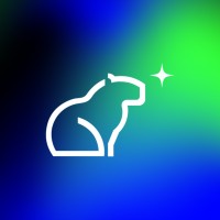 CapiHub - Assessoria de Performance em Vendas logo - Similar company to Foxxr Digital Marketing