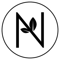 Napanion logo - Similar company to Altalpha Strategies