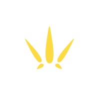 Grow Studios