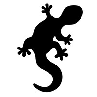 Salamandra Producciones logo - Similar company to Clubbing Producciones