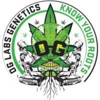 OG Labs logo - Similar company to Stableunit Dao